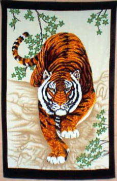 �g�[���s���A�@�唻�o�X�^�I���@��